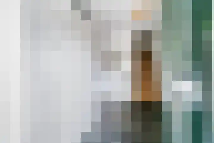 Kerkstraat 47 Zwijndrecht thumbnail 6