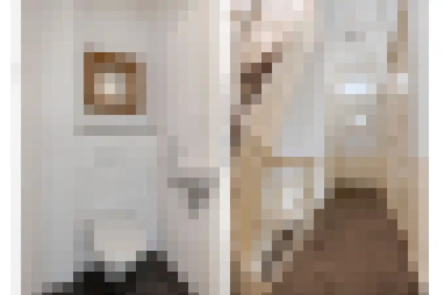 Kerkstraat 48 Den Haag thumbnail 4