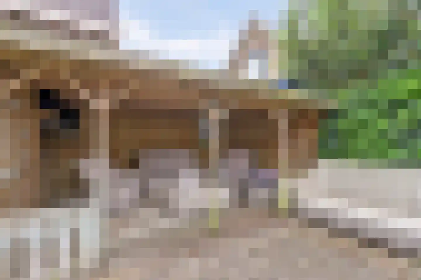 Kerkstraat 48 Hendrik-Ido-Ambacht thumbnail 32