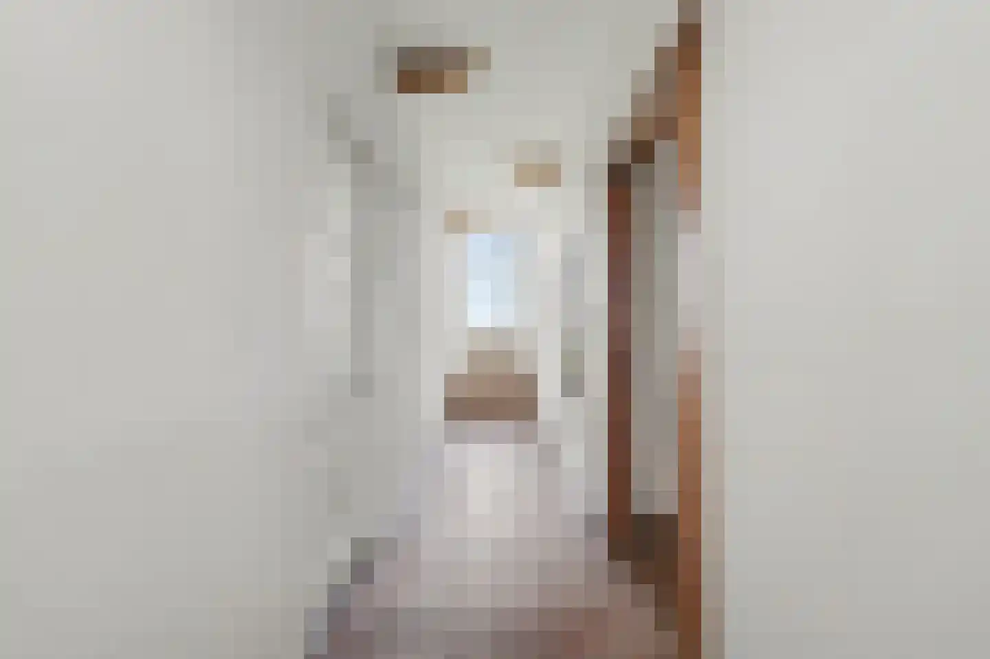 Kerkstraat 48 Lage Zwaluwe thumbnail 15