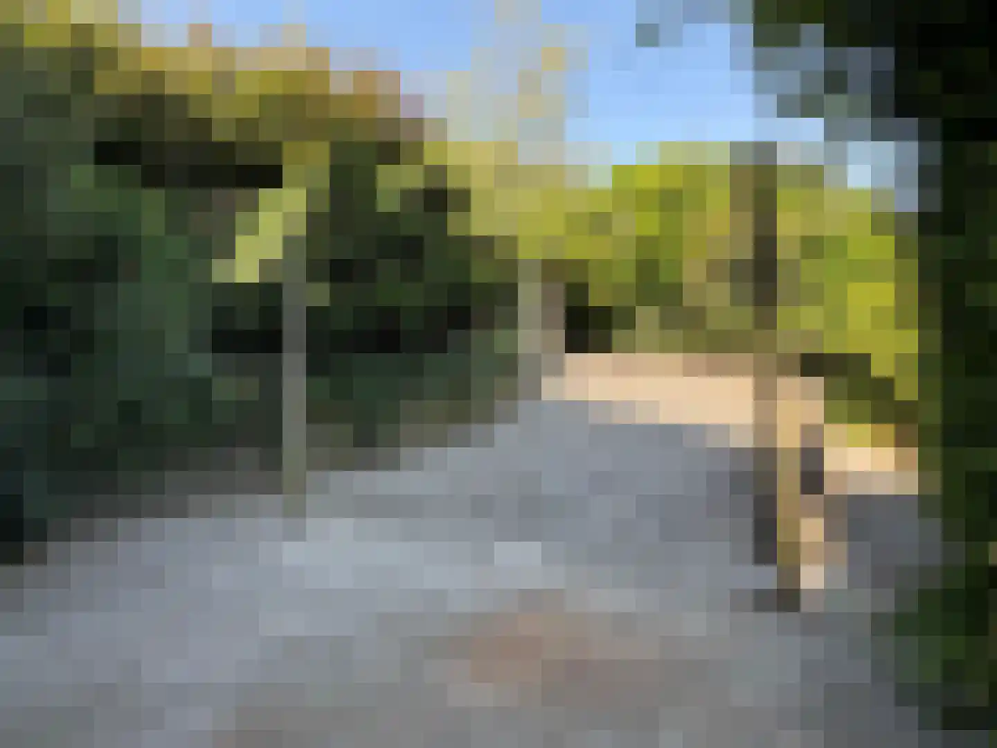 Kerkstraat 48 Lage Zwaluwe thumbnail 62