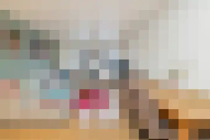 Kerkstraat 48 Oss thumbnail 14