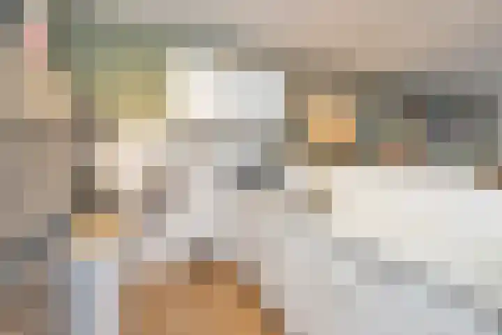 Kerkstraat 48 Oss thumbnail 22