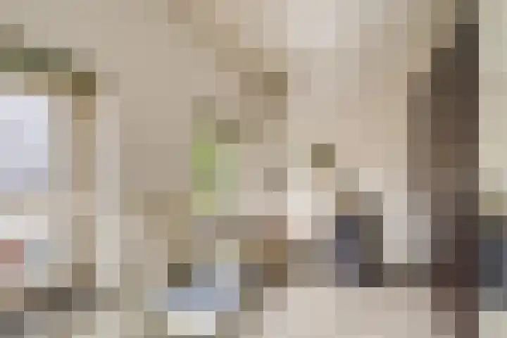 Kerkstraat 48 Susteren thumbnail 14