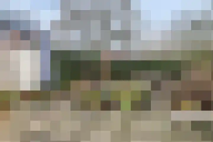 Kerkstraat 48 Zaltbommel thumbnail 48
