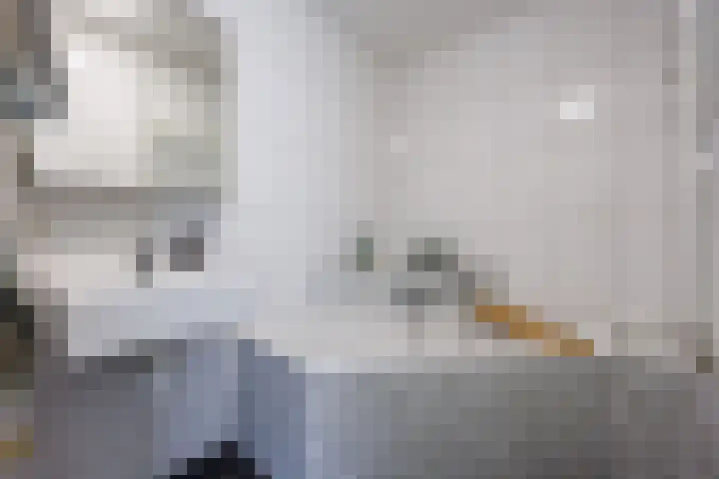 Kerkstraat 49 c Zeeland thumbnail 25