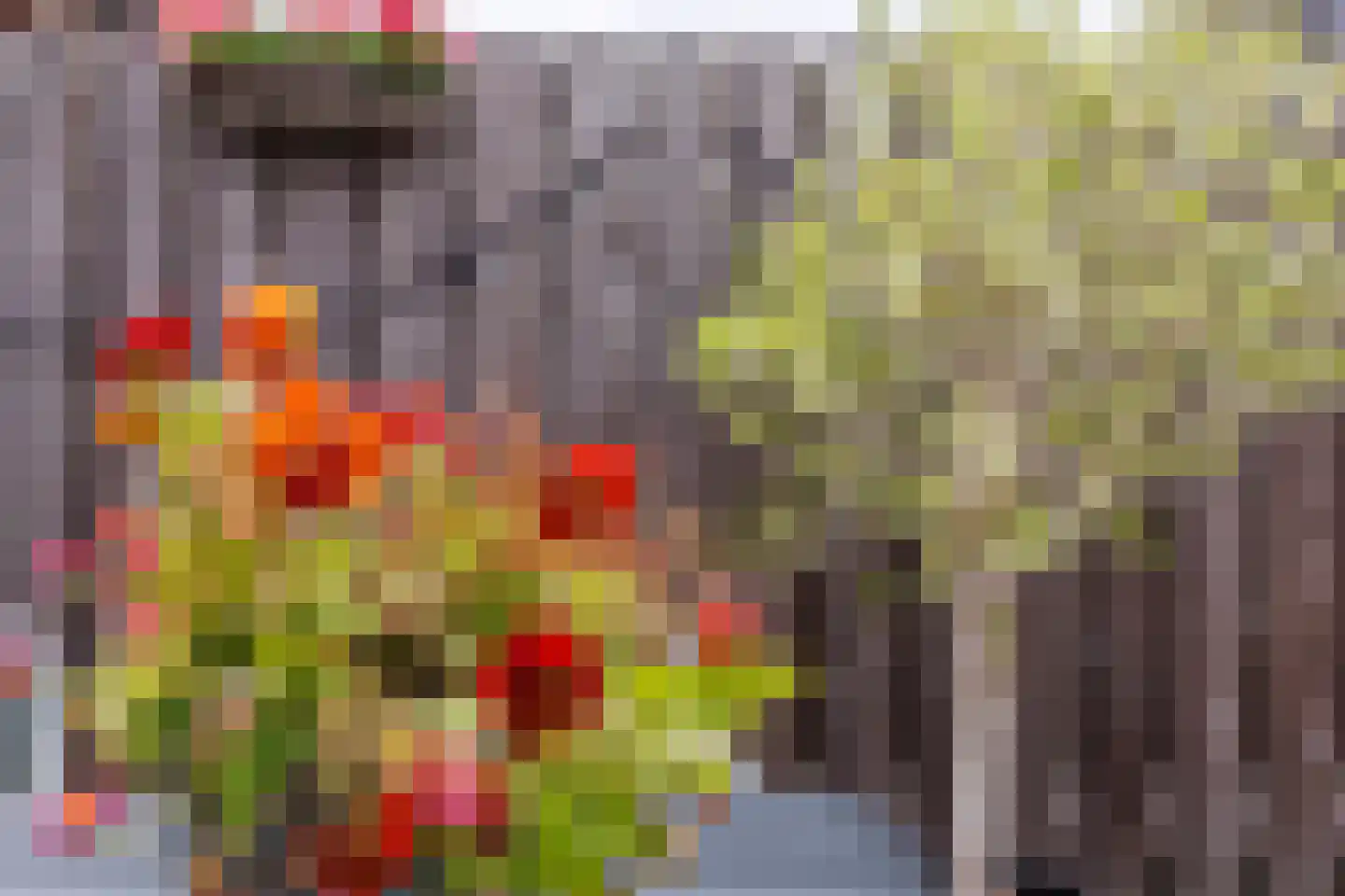 Kerkstraat 49 c Zeeland thumbnail 40