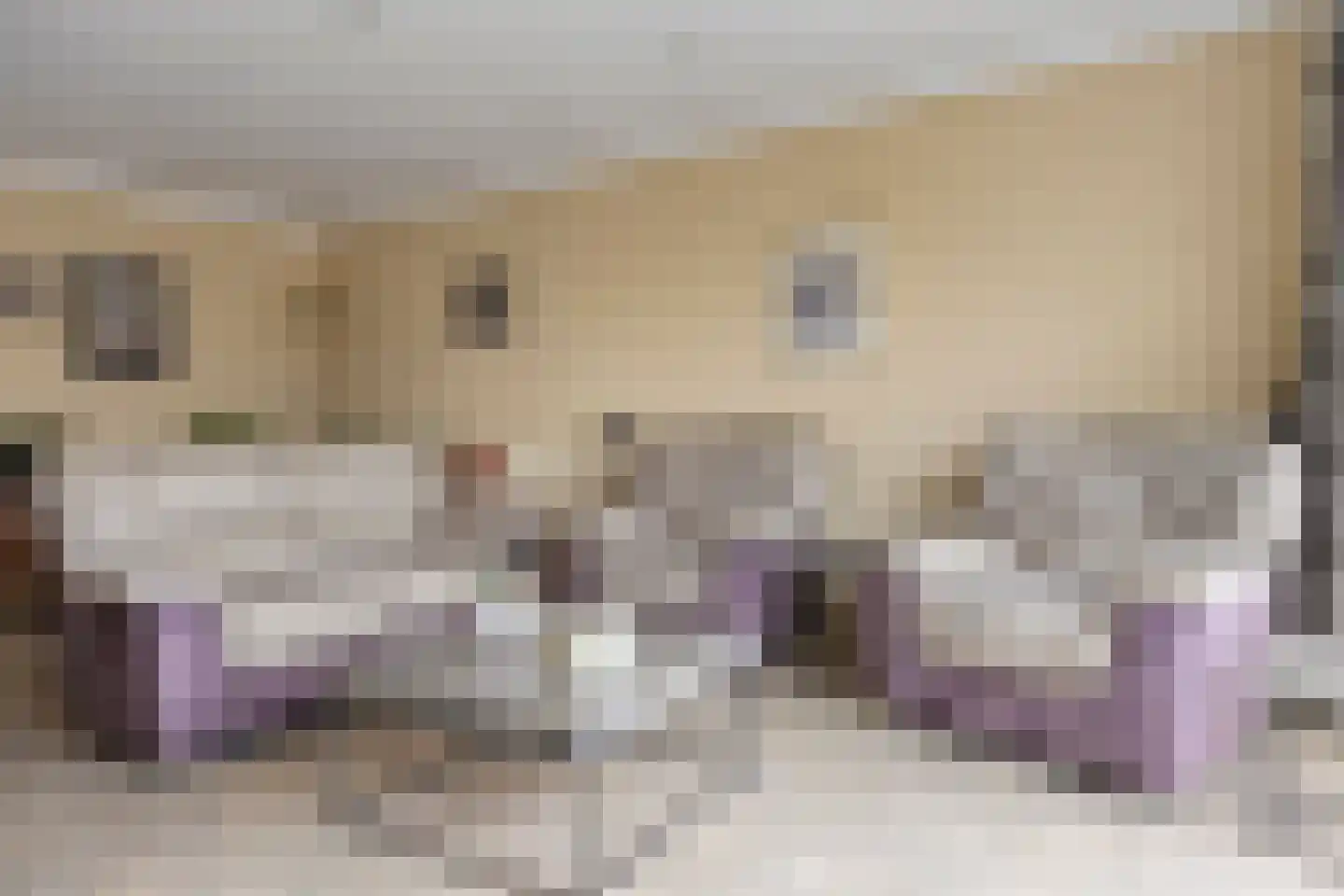 Kerkstraat 5 a Berkel en Rodenrijs thumbnail 10