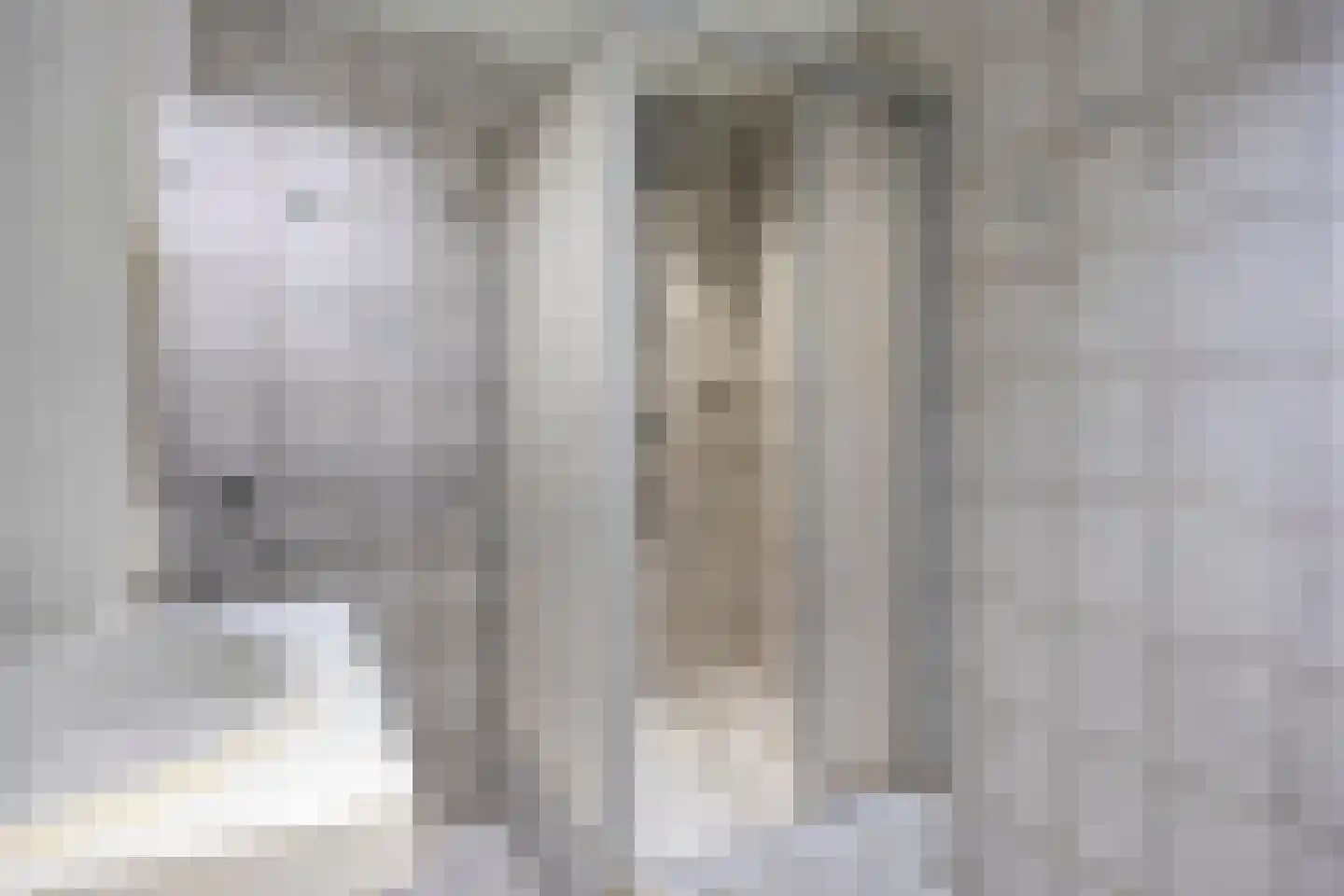 Kerkstraat 5 a Berkel en Rodenrijs thumbnail 27