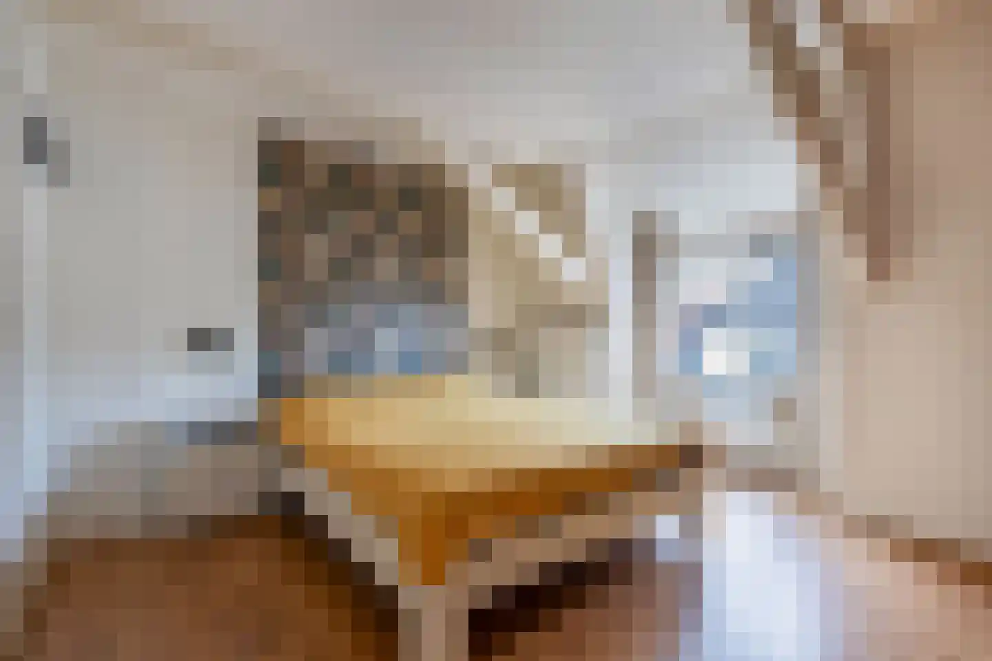 Kerkstraat 5 A Steenwijk thumbnail 15