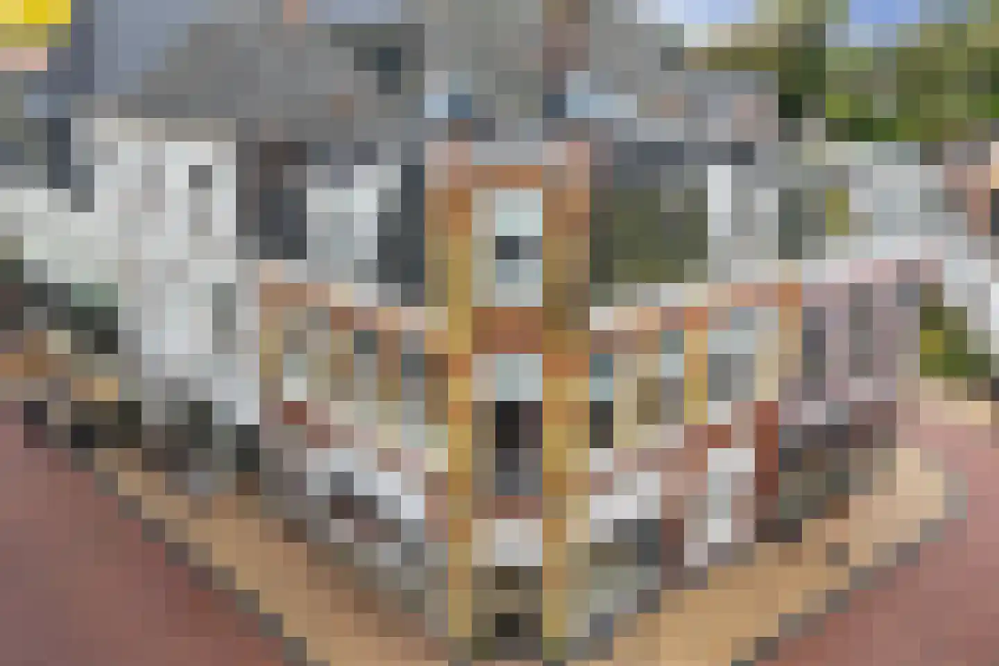 Kerkstraat 5 A Steenwijk thumbnail 27