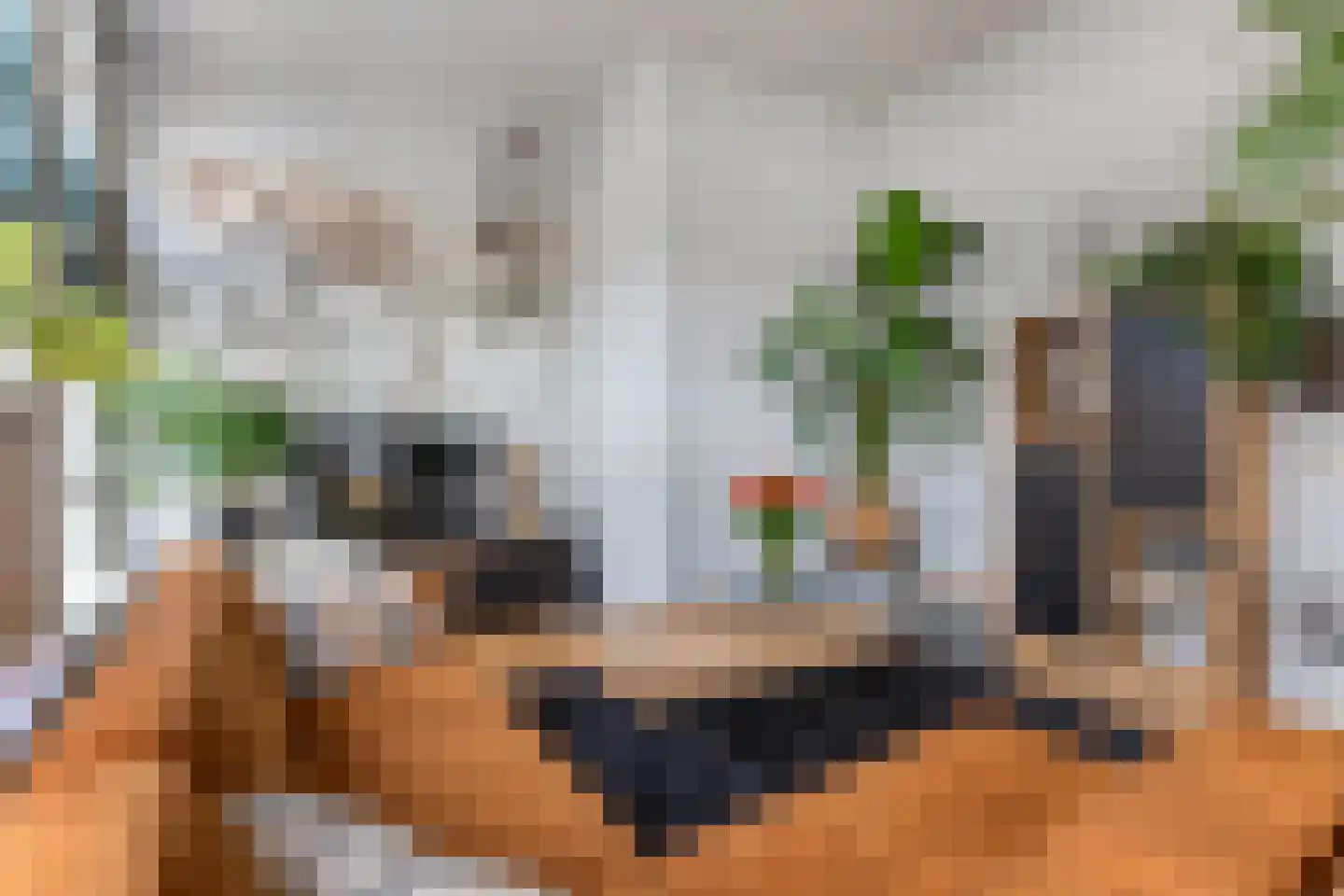 Kerkstraat 5 A Steenwijk thumbnail 9