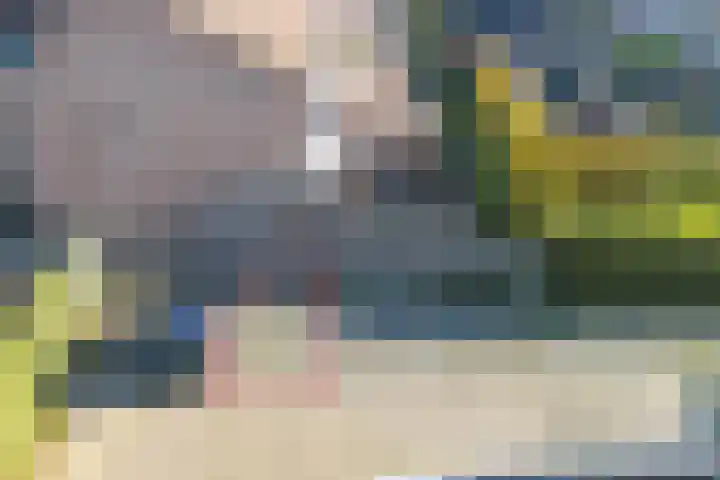 Kerkstraat 5 b Groot-Ammers thumbnail 33
