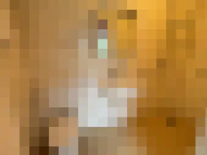 Kerkstraat 5 Barsingerhorn thumbnail 14