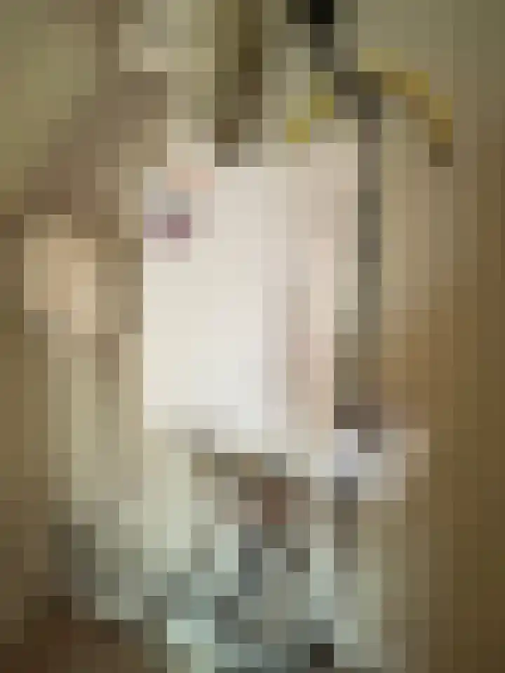 Kerkstraat 5 Barsingerhorn thumbnail 16