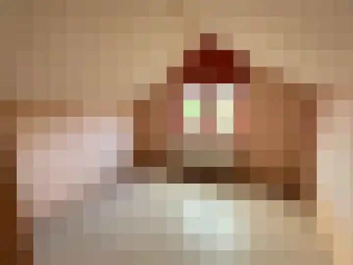 Kerkstraat 5 Barsingerhorn thumbnail 18