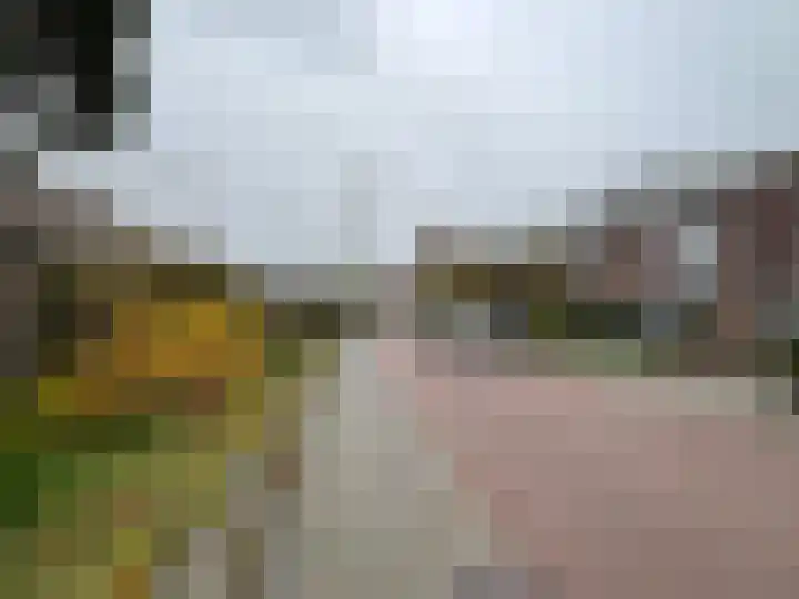 Kerkstraat 5 Barsingerhorn thumbnail 4