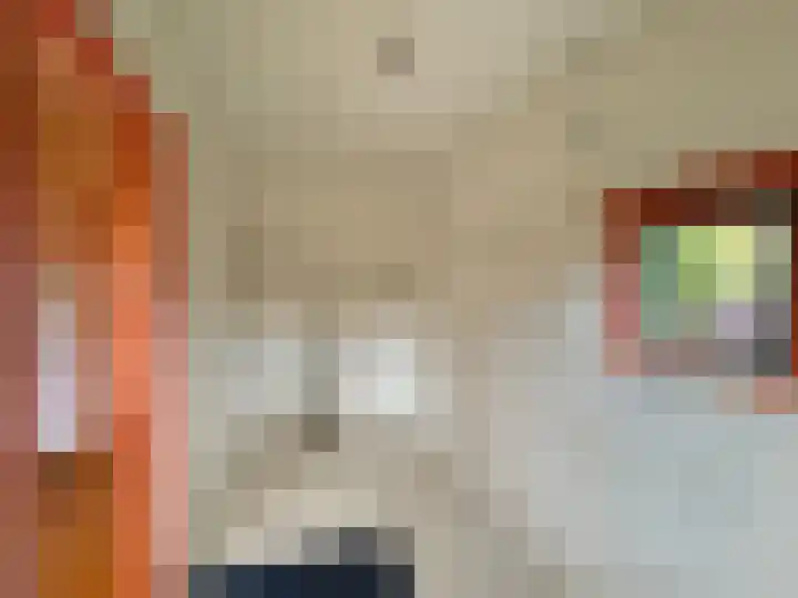 Kerkstraat 5 Barsingerhorn thumbnail 8