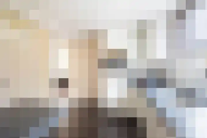 Kerkstraat 5 Dinxperlo thumbnail 15
