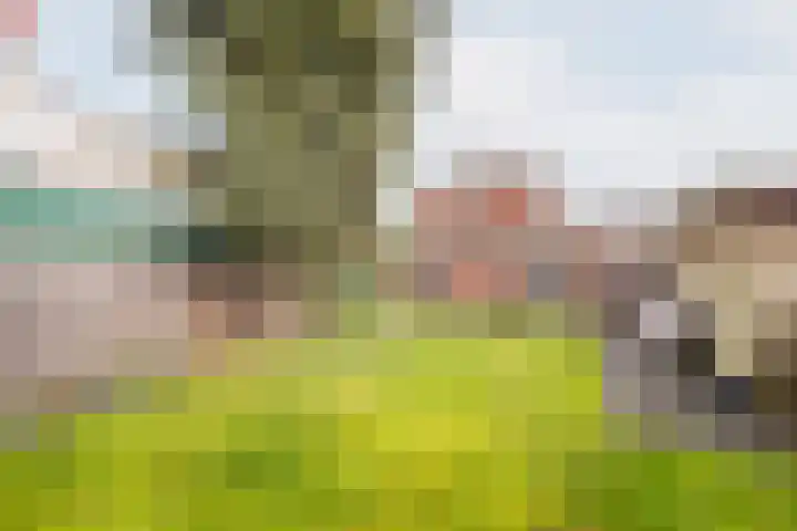 Kerkstraat 5 Dinxperlo thumbnail 30