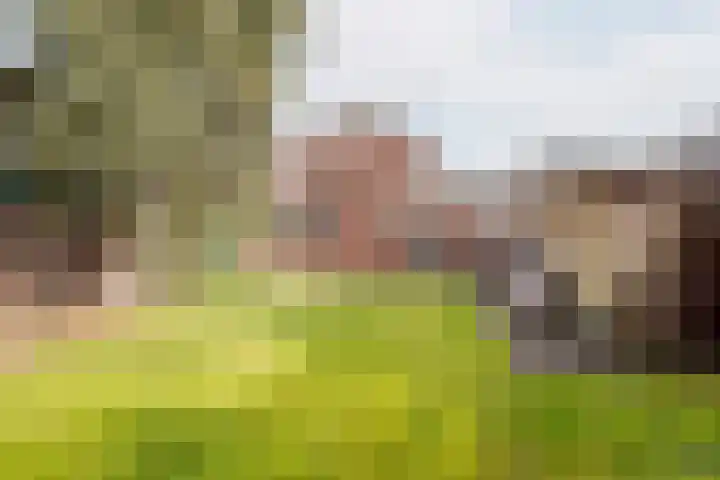 Kerkstraat 5 Dinxperlo thumbnail 4