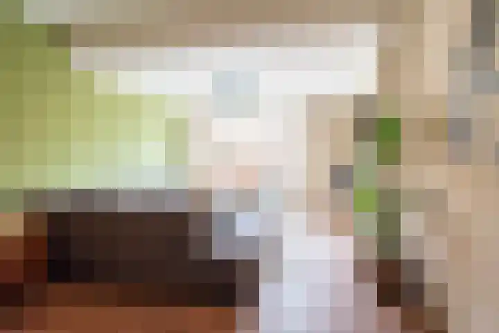 Kerkstraat 5 Dinxperlo thumbnail 9