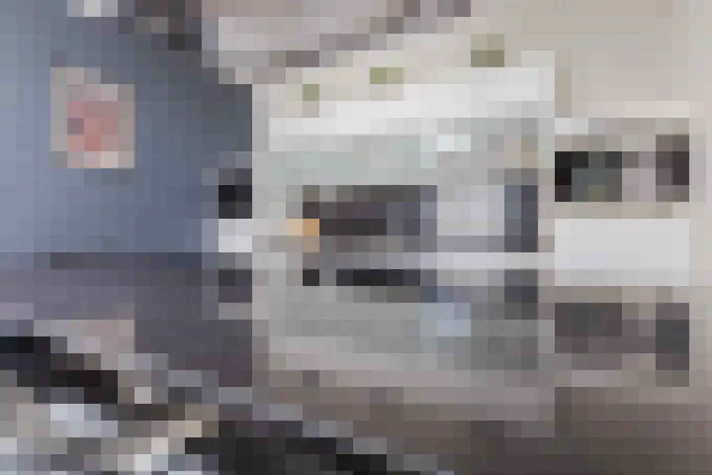Kerkstraat 5 Eersel thumbnail 22