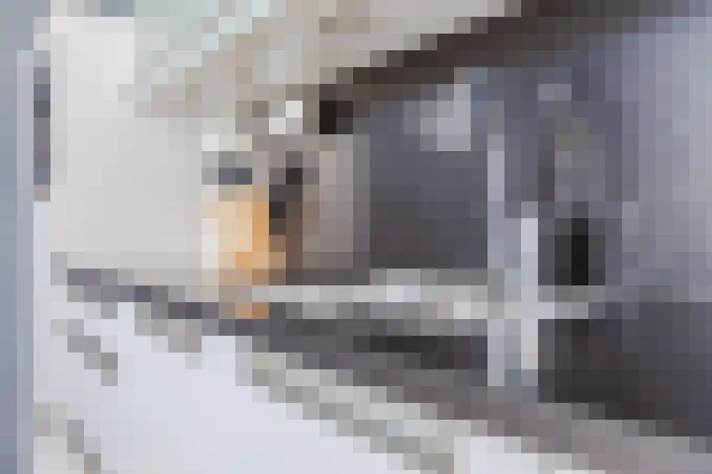 Kerkstraat 5 Eersel thumbnail 24