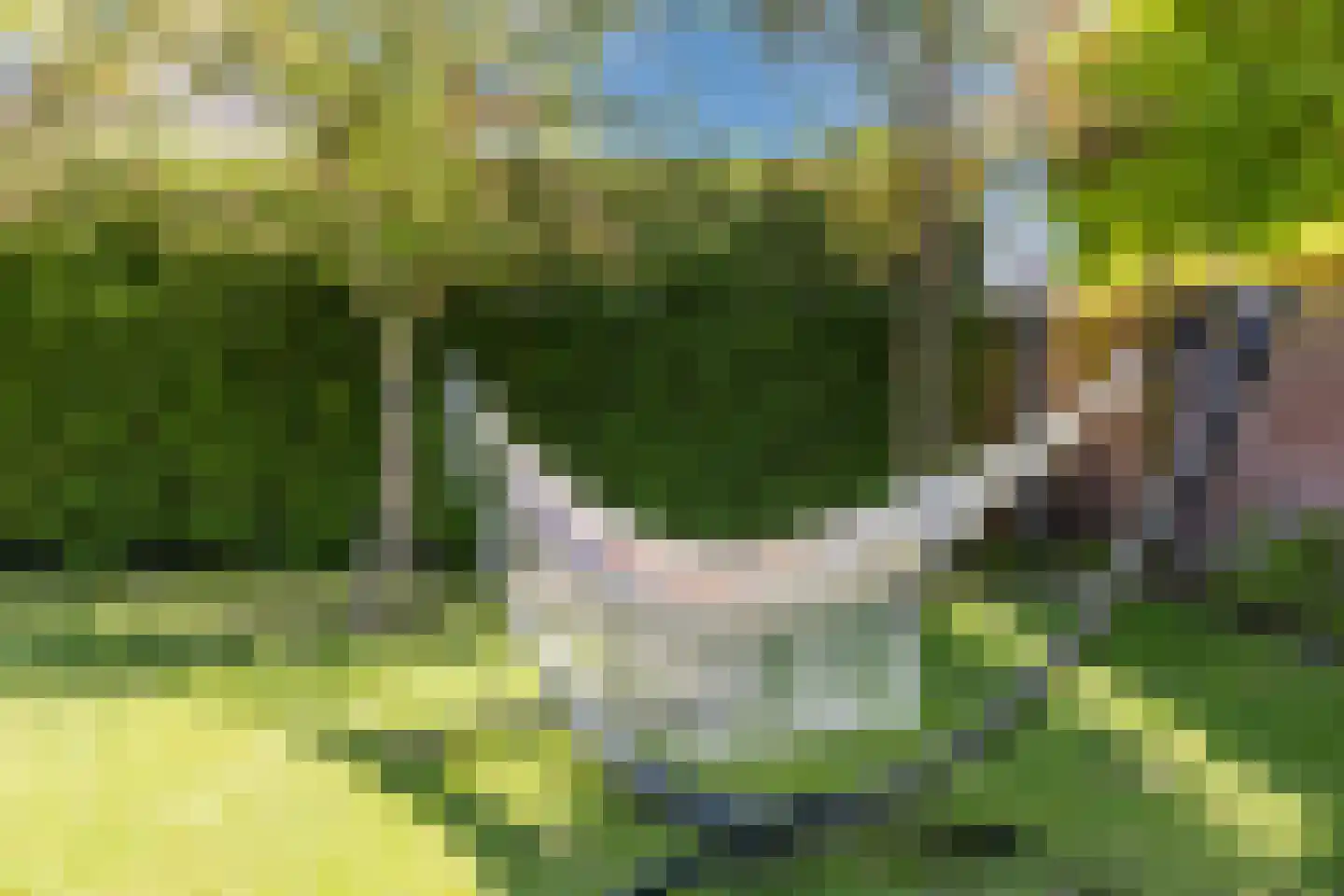 Kerkstraat 5 Eersel thumbnail 55