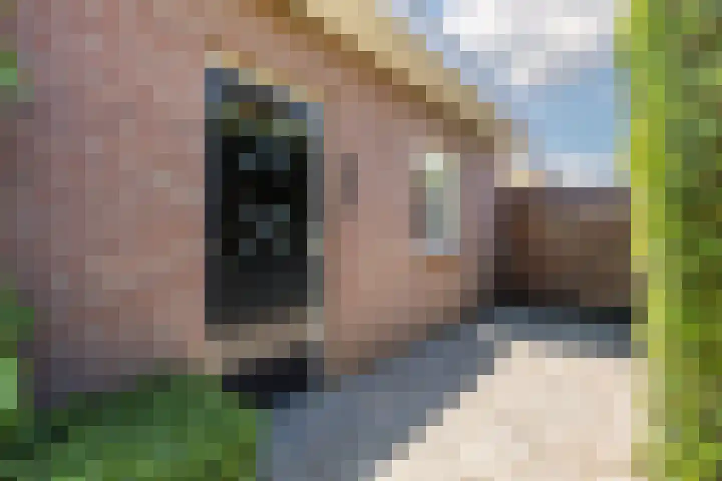 Kerkstraat 5 Eersel thumbnail 58