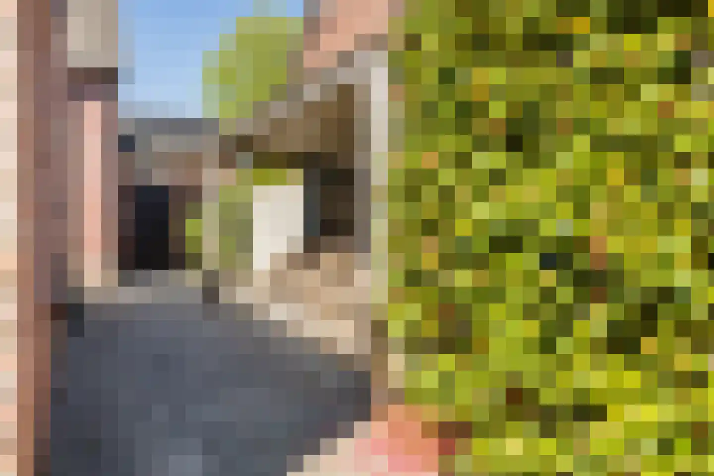 Kerkstraat 5 Eersel thumbnail 59