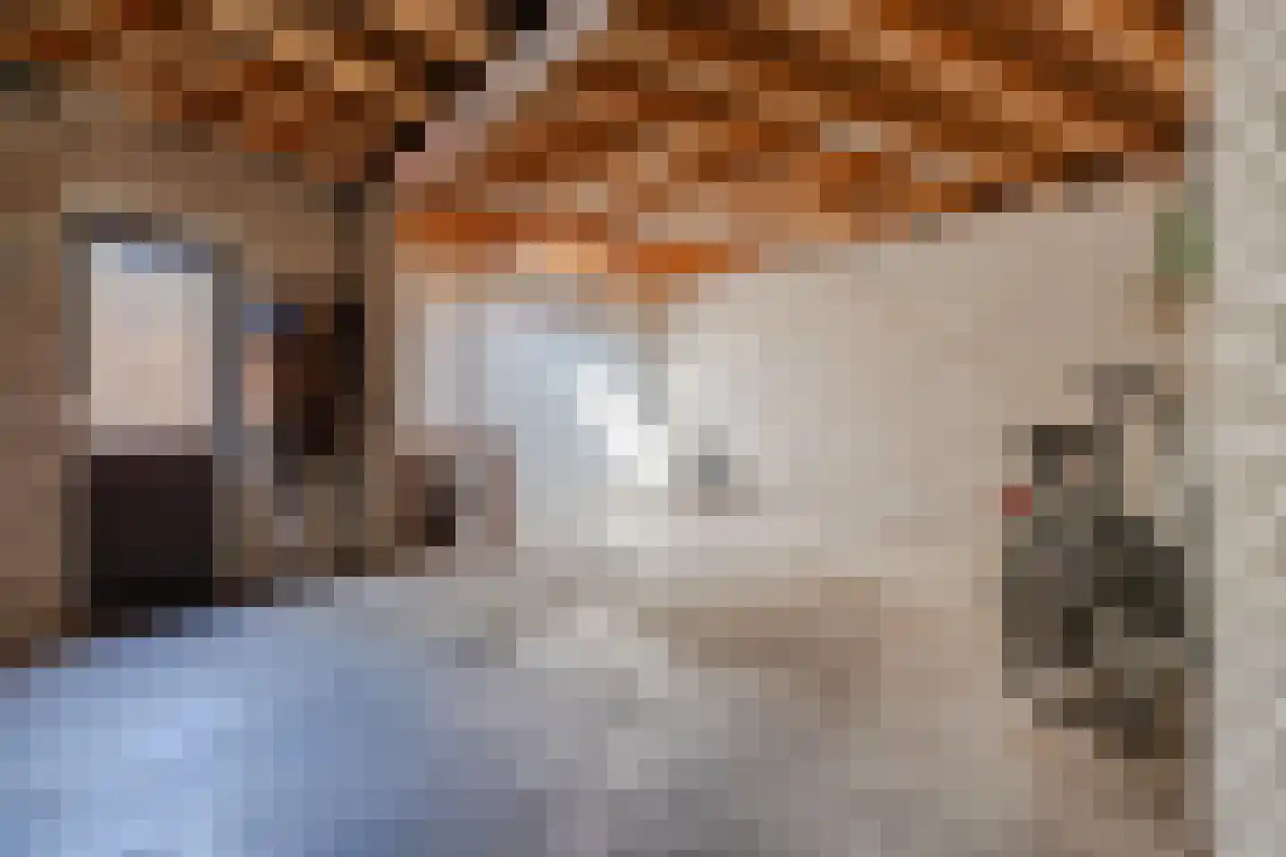 Kerkstraat 5 Eersel thumbnail 63