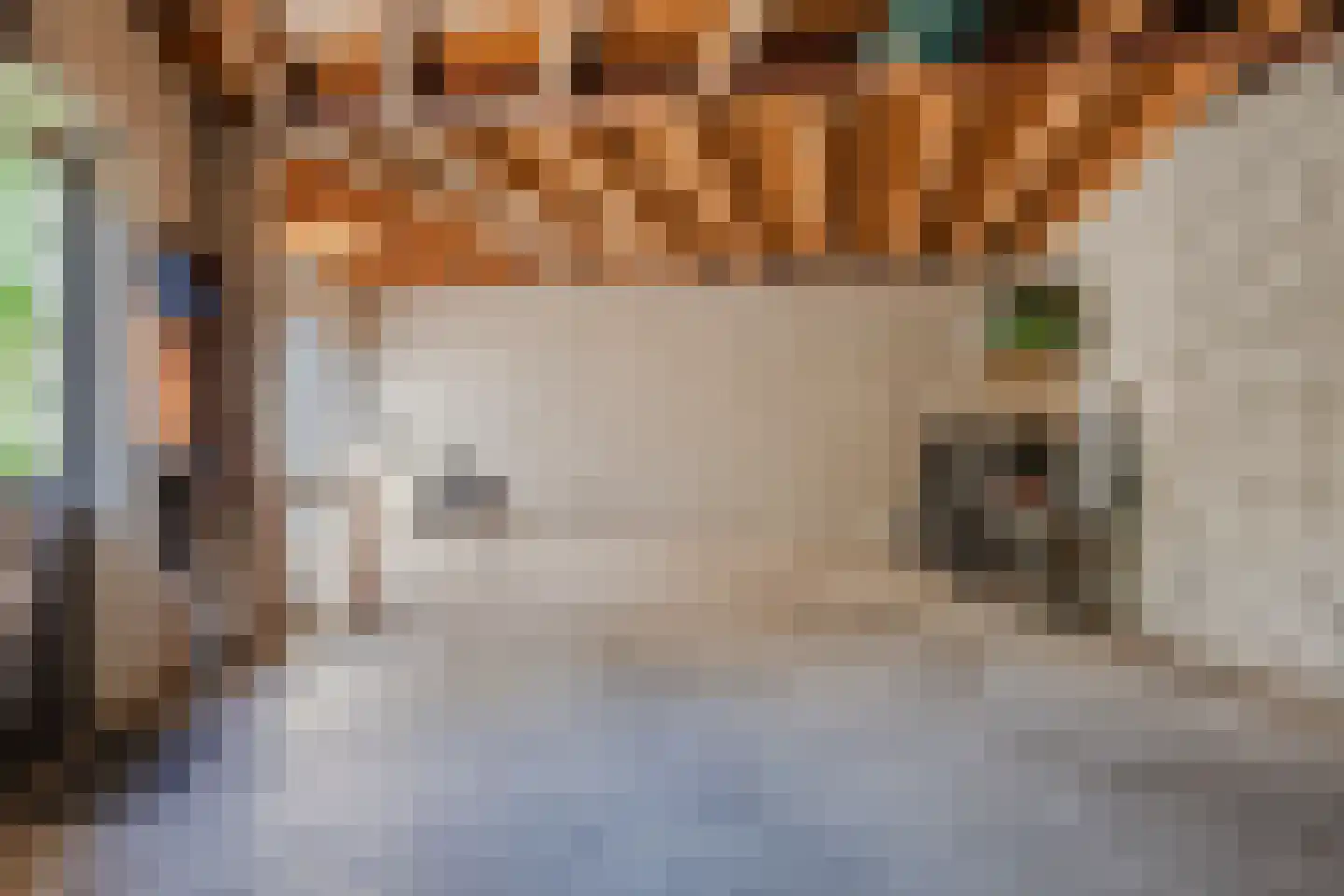 Kerkstraat 5 Eersel thumbnail 64