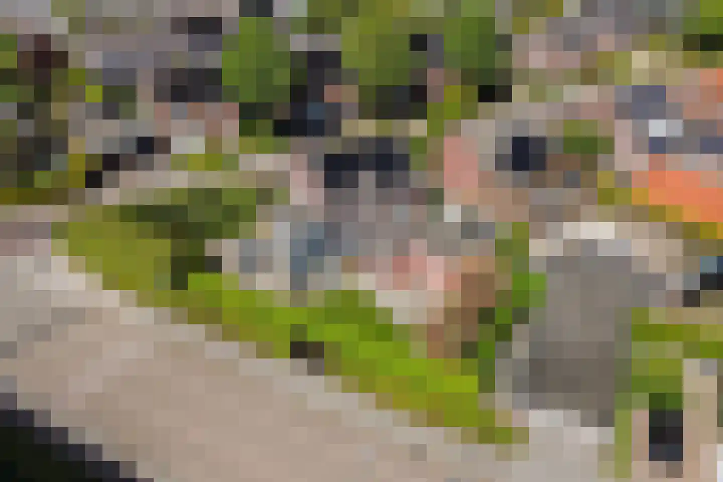 Kerkstraat 5 Eersel thumbnail 67