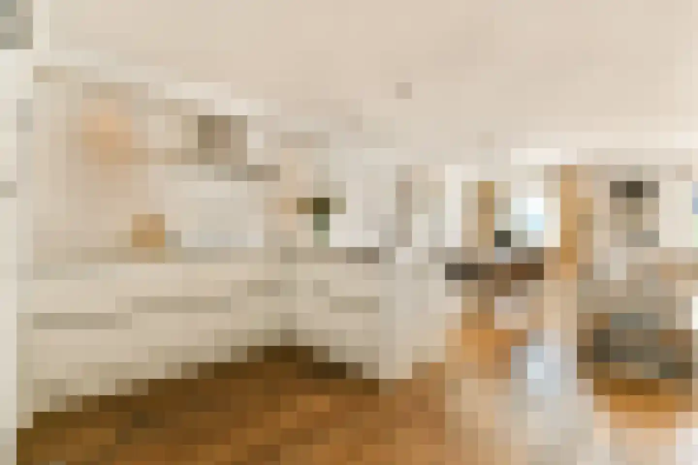 Kerkstraat 5 F Purmerend thumbnail 20