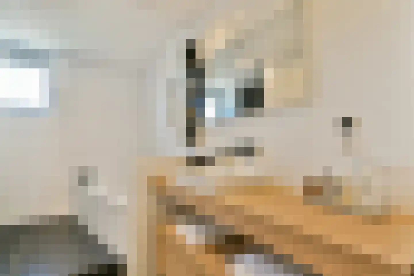 Kerkstraat 5 F Purmerend thumbnail 31