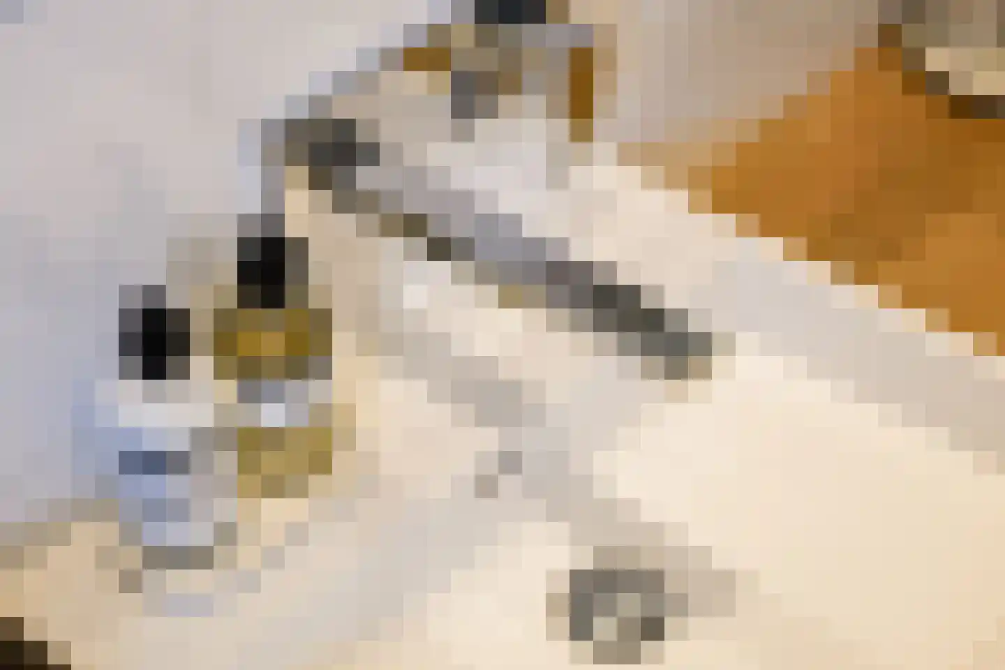 Kerkstraat 5 F Purmerend thumbnail 33
