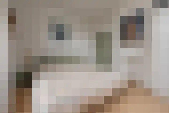 Kerkstraat 5 Heerde thumbnail 33