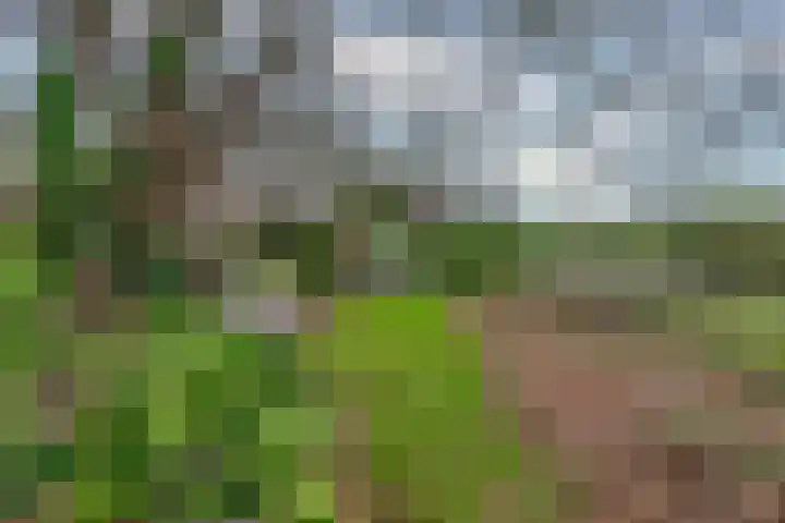 Kerkstraat 5 Heerde thumbnail 4