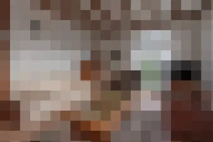 Kerkstraat 5 Heerde thumbnail 40