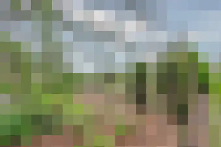 Kerkstraat 5 Heerde thumbnail 50