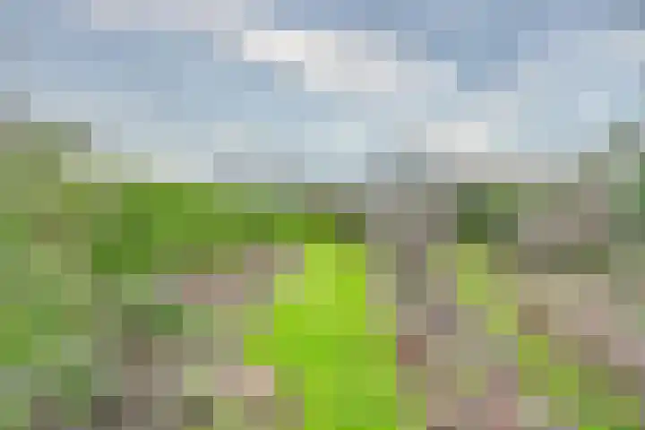 Kerkstraat 5 Heerde thumbnail 51