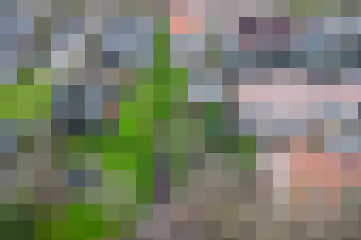 Kerkstraat 5 Heerde thumbnail 8