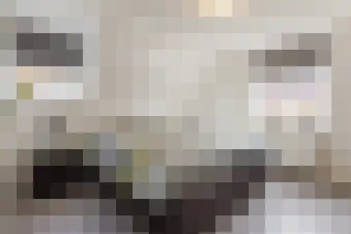 Kerkstraat 5 Hengelo (Gld) thumbnail 36