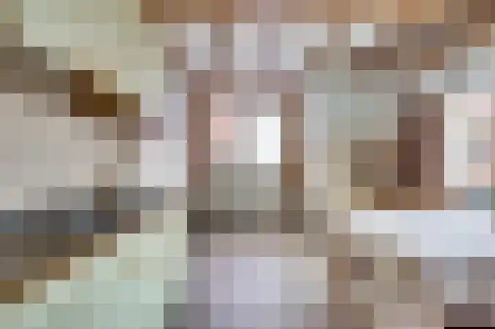 Kerkstraat 5 Kerkdriel thumbnail 11