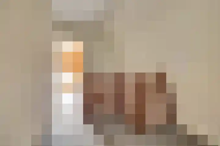 Kerkstraat 5 Kerkdriel thumbnail 16