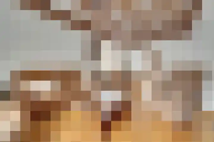 Kerkstraat 5 Kerkdriel thumbnail 5