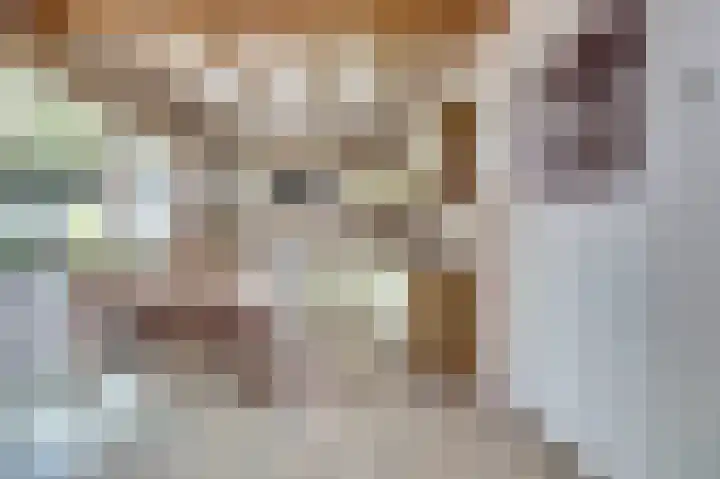 Kerkstraat 5 Kerkdriel thumbnail 9