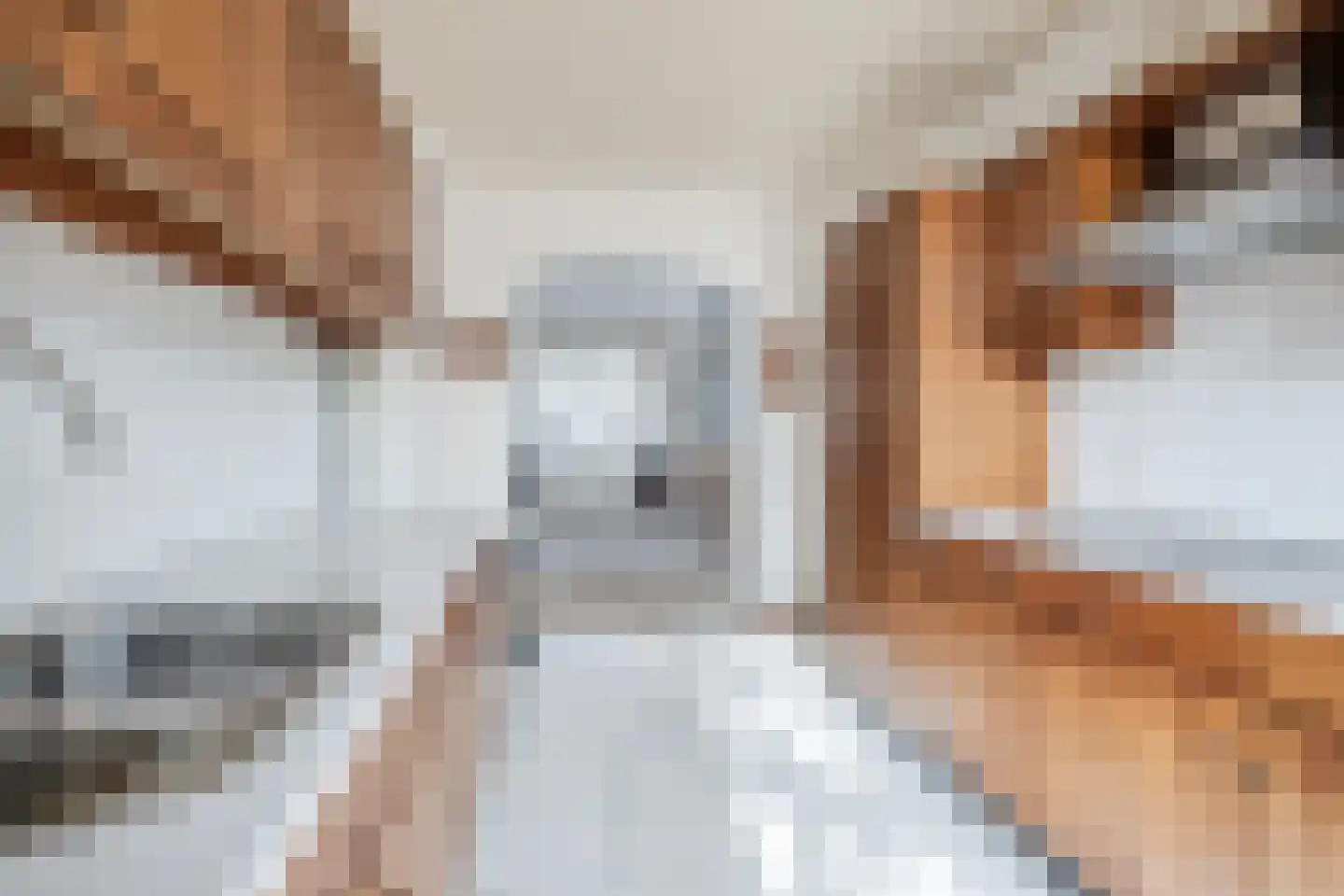 Kerkstraat 5 Luyksgestel thumbnail 13