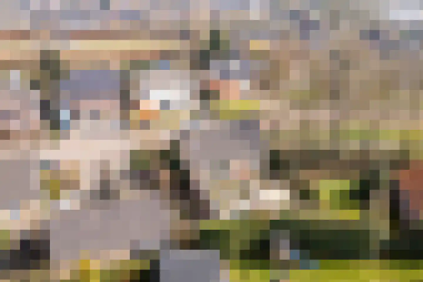 Kerkstraat 5 Luyksgestel thumbnail 29